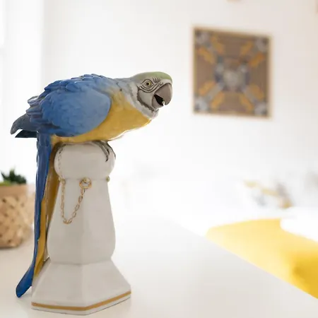 Daire Beautiful Penthouse - Center Graz