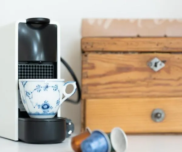 Beautiful Penthouse - Center Apartment Graz